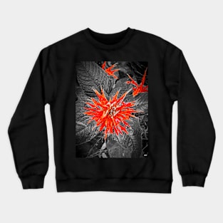 Monarda Bee Balm Flower Crewneck Sweatshirt